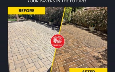 Why You Should Always Choose Expert Paver Sealing Services in Peoria, AZ