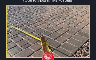 Why Paver Sealing in Phoenix Is Essential for Long-Lasting Curb Appeal